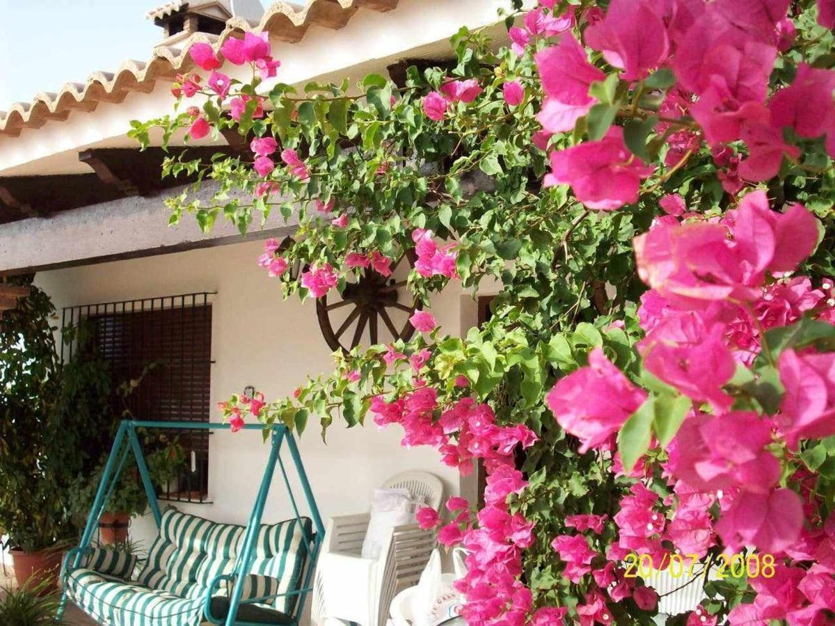 Mirador De La Era Casa de hóspedes Valle de Abdalagís Exterior foto